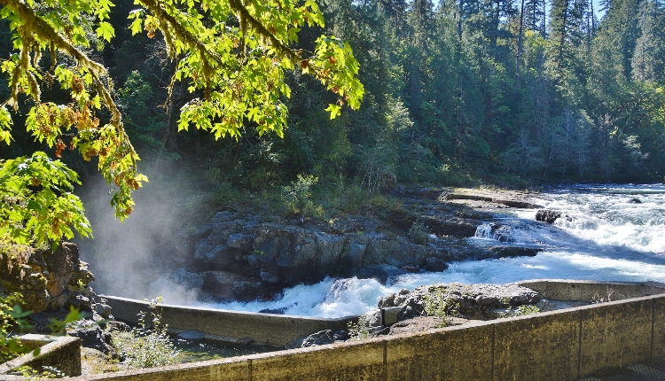 Stamp River
